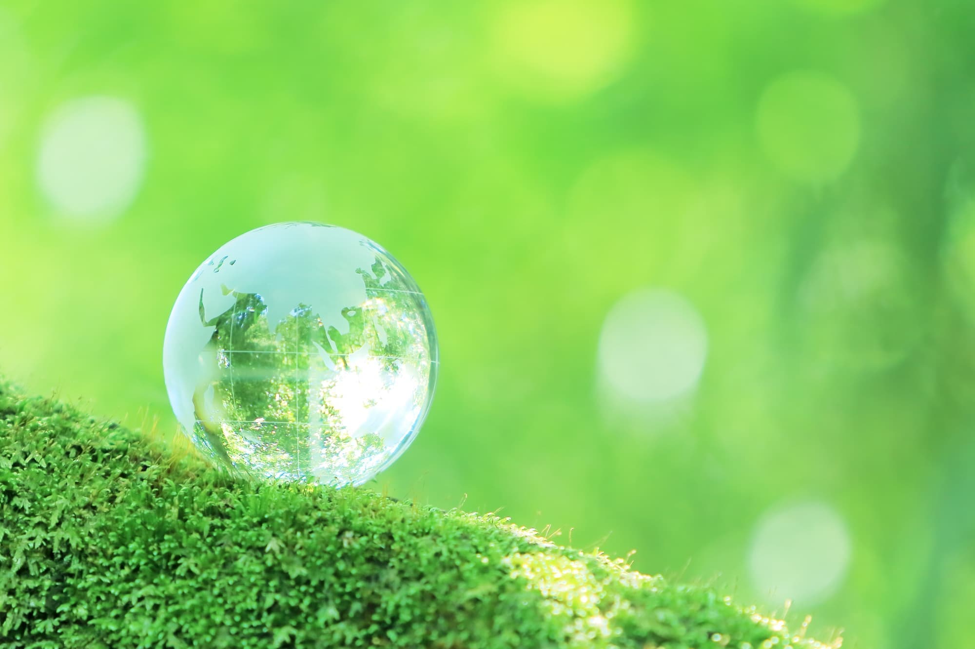 サスティナブル